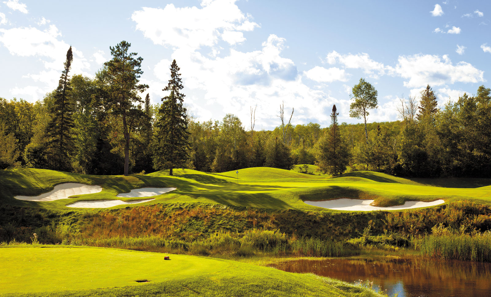 Wild North Golf Minnesota